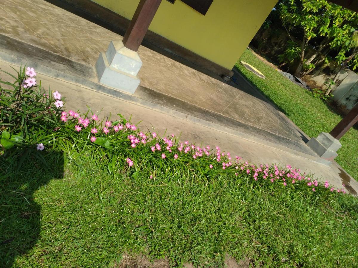 Olivia Bungalow Wattala Exterior photo